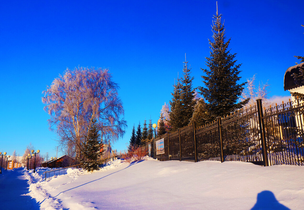 Январь...Церковный парк зимой! - Владимир 