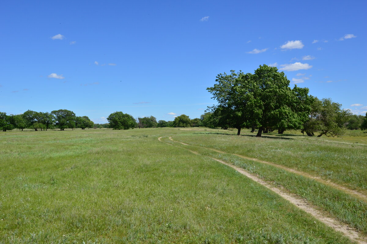 Мои дороги. - Виктор 