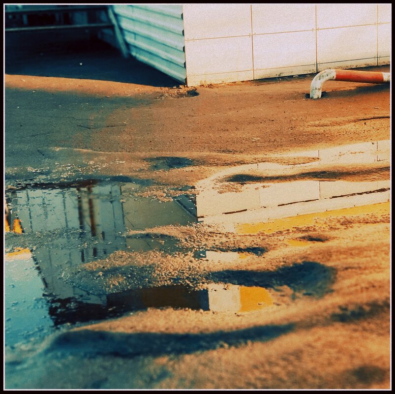 31 января - Любовь 