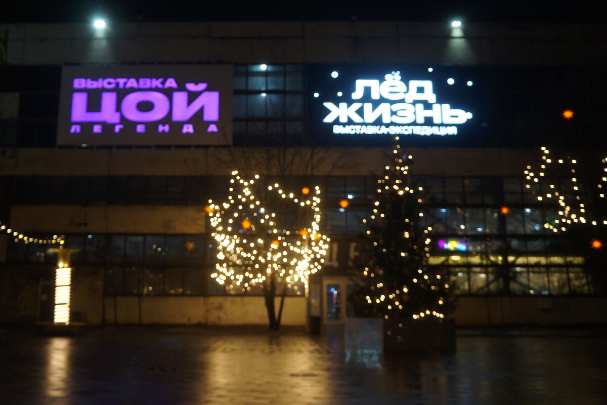 выставки в Севкабеле - zavitok *