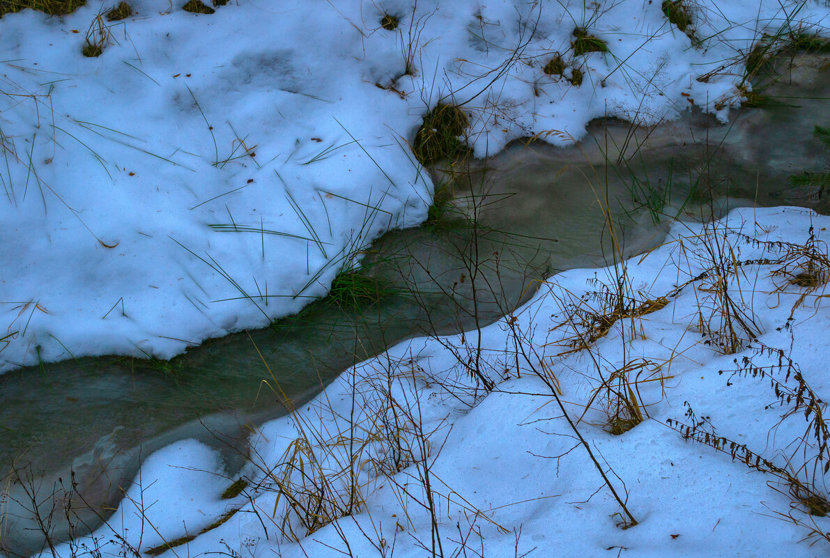 Весенний ручей в январе - Сергей Цветков Весенний ручей в январе - Сергей Цветков