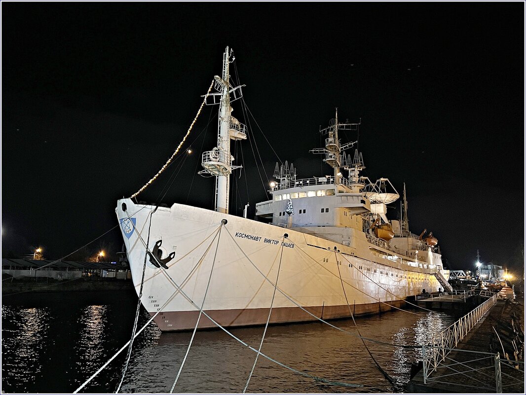 НИС Космонавт Виктор Пацаев. - Валерия Комова