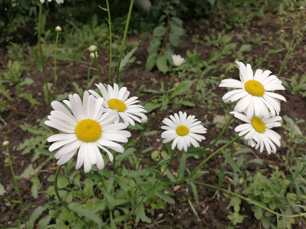 ,,, - Сергей Тимоновский ,,, - Сергей Тимоновский