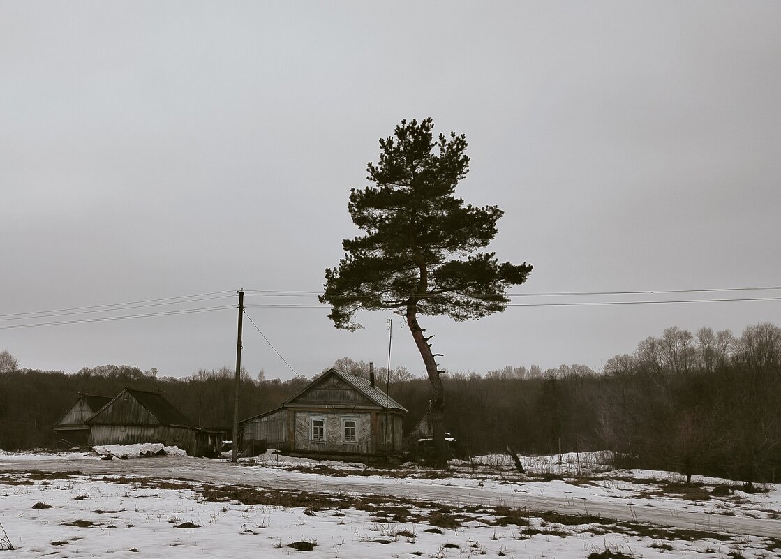 Теплый январь - Олег Денисов