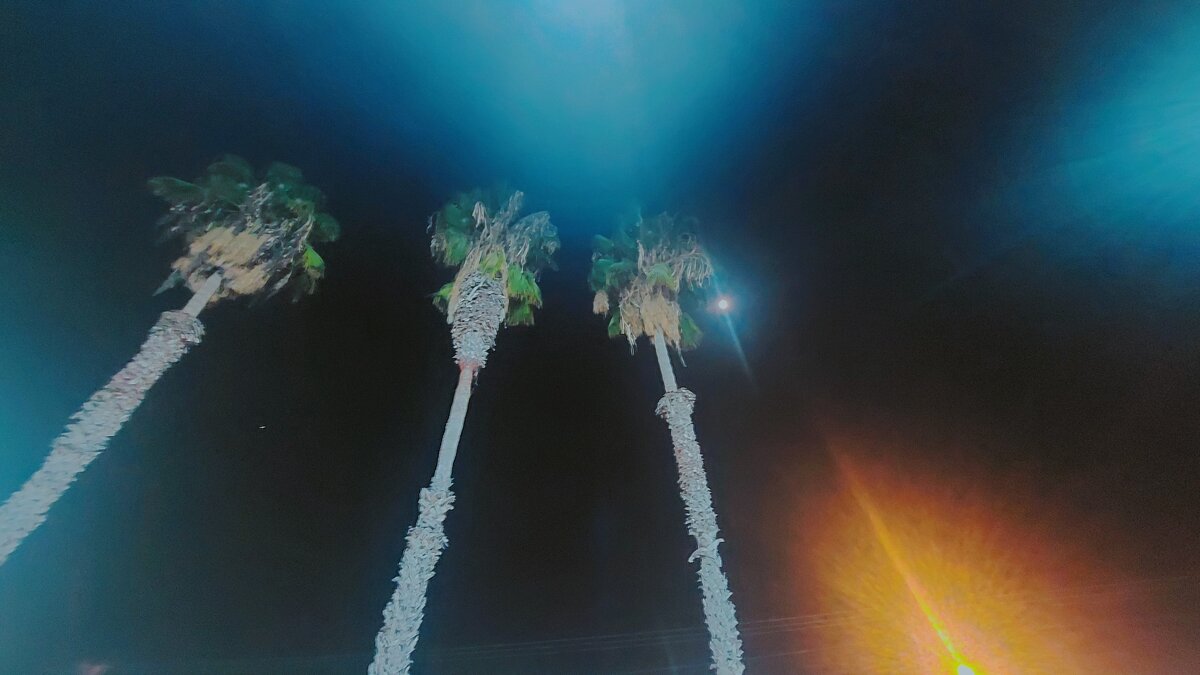 12  КЛОС (471) - CLOSE WAYS ALL