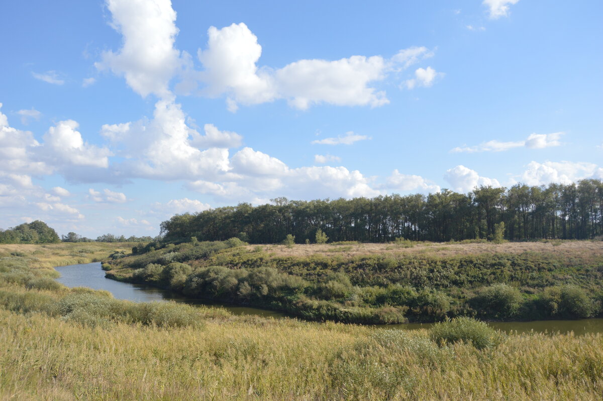 Местная река. - Виктор 