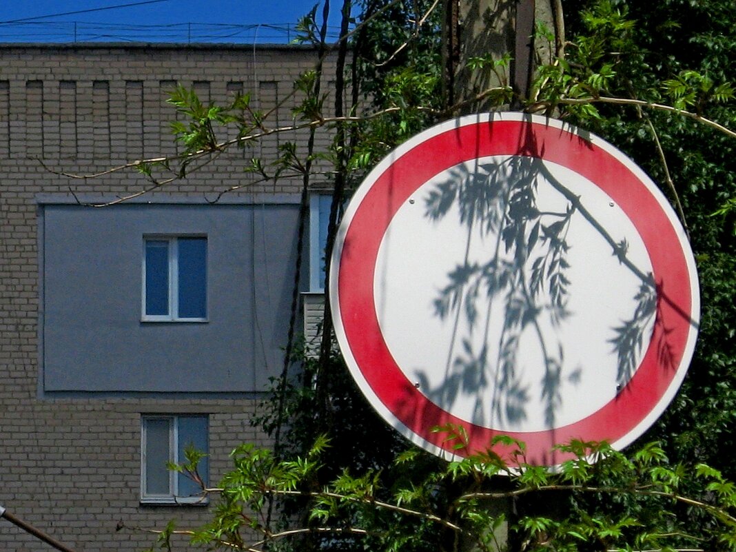 . - Александр Хоменко