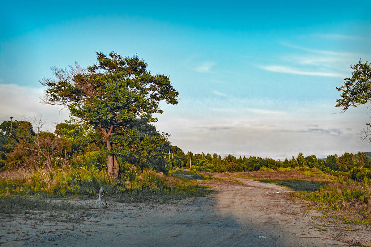 Старая дорога на Пивань - Людмила Фил Старая дорога на Пивань - Людмила Фил