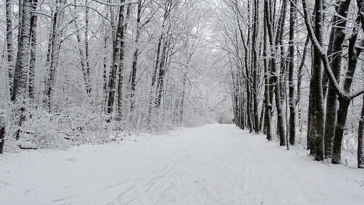 Про минувший январь - Милешкин Владимир Алексеевич Про минувший январь - Милешкин Владимир Алексеевич