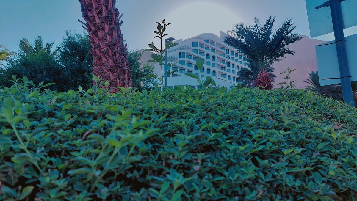 12  КЛОС (474) - CLOSE WAYS ALL