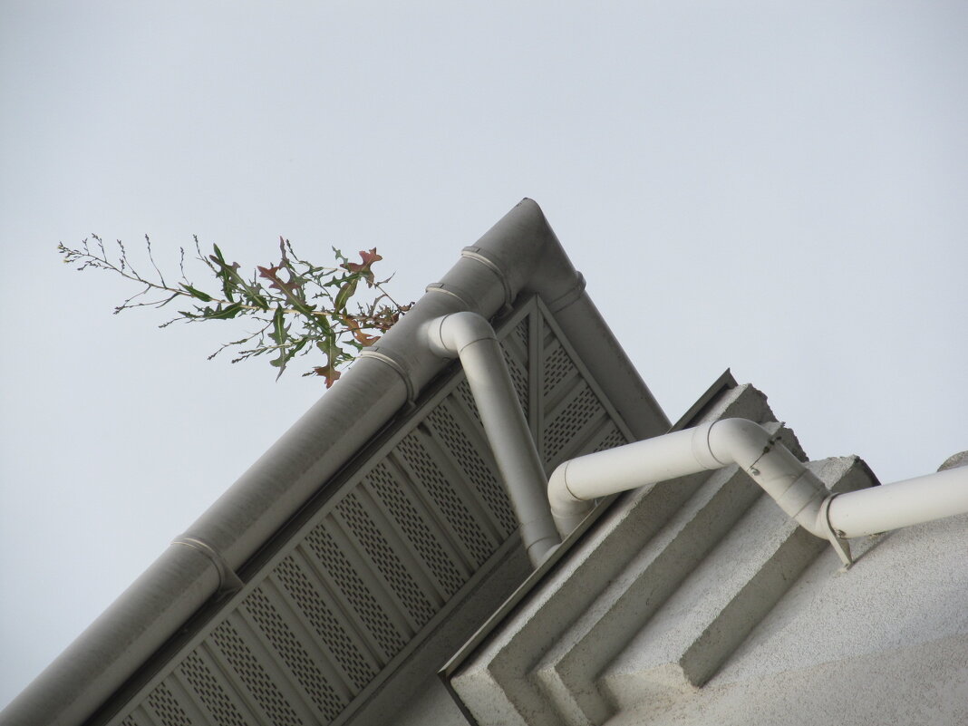 Жизнь не сдаётся - Елена Шаламова