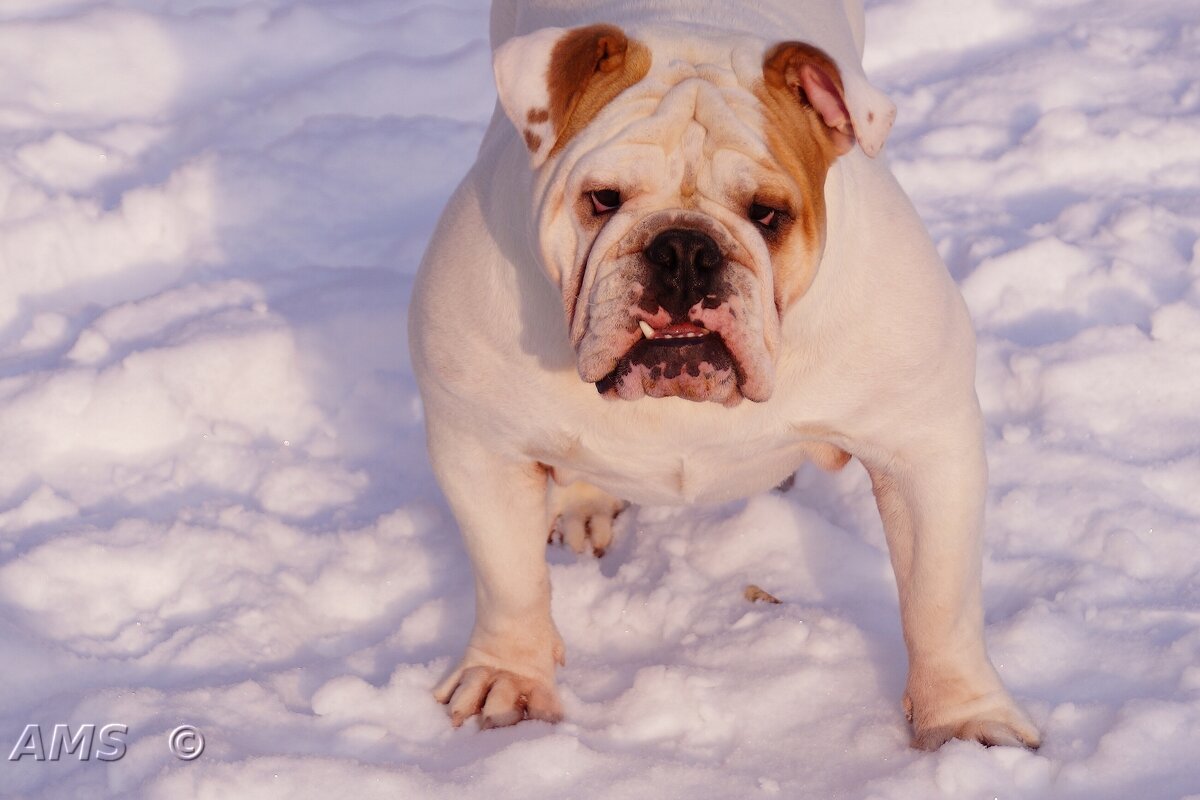 Грозный - kolyeretka Грозный - kolyeretka