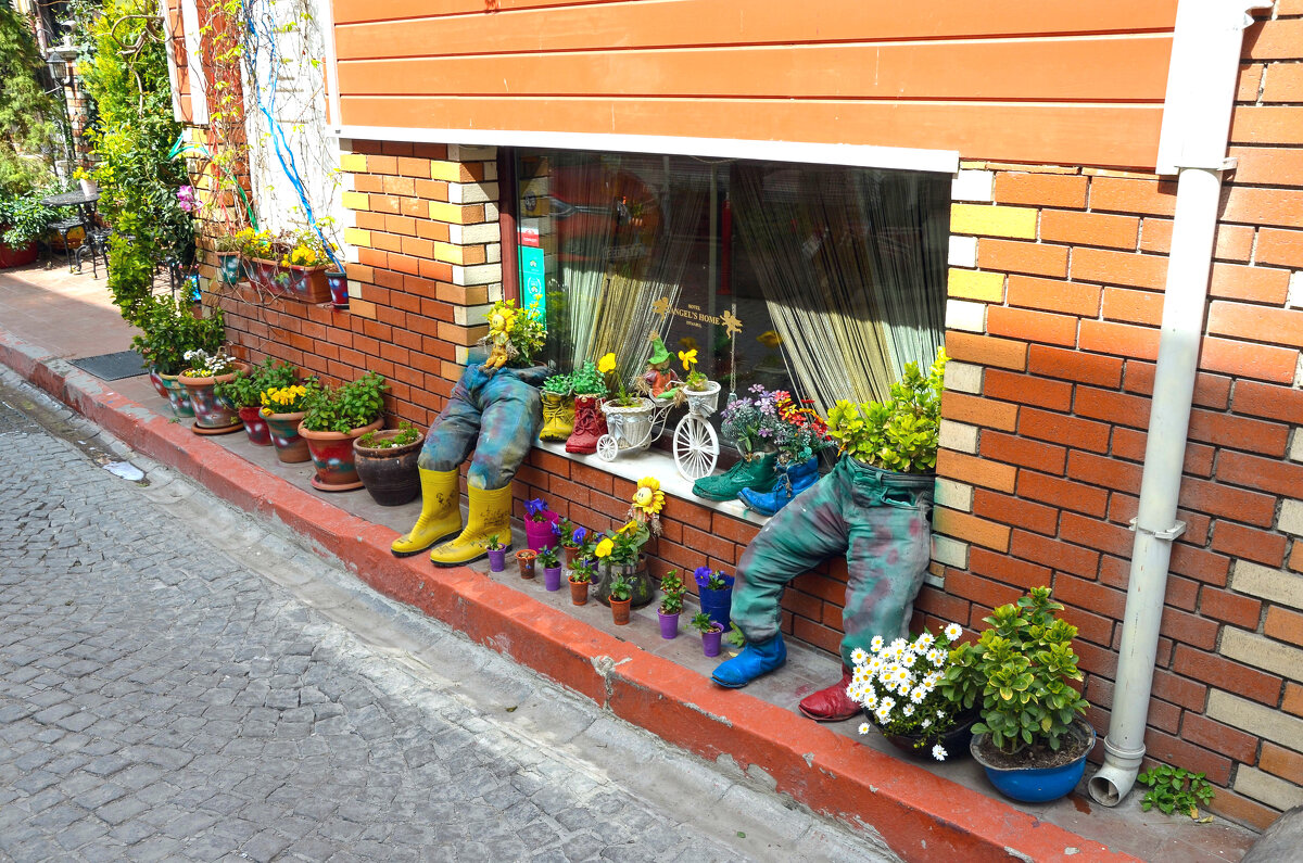 На улочках Стамбула - Алексей Просвиряков