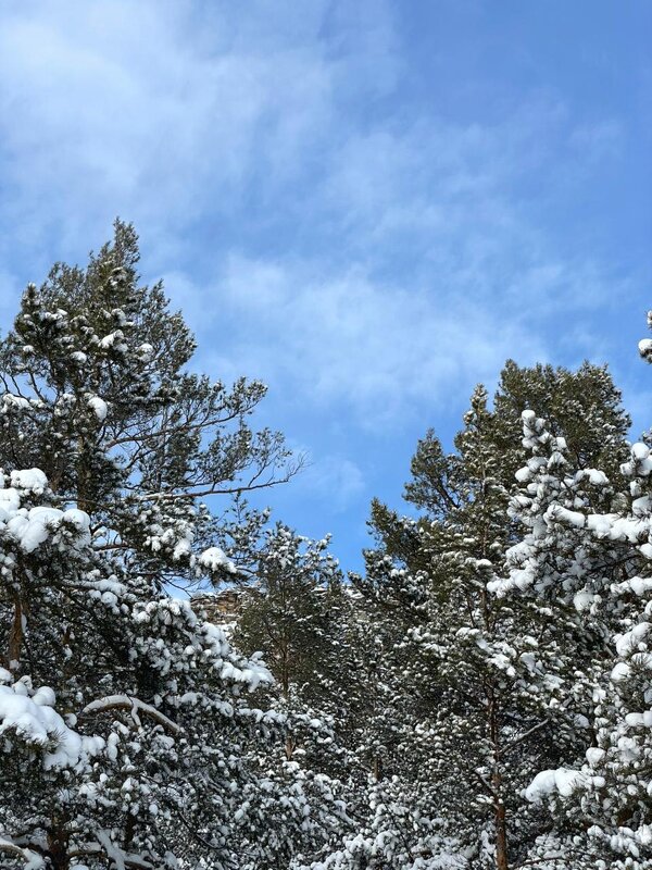 Небеса зимой - Георгиевич 