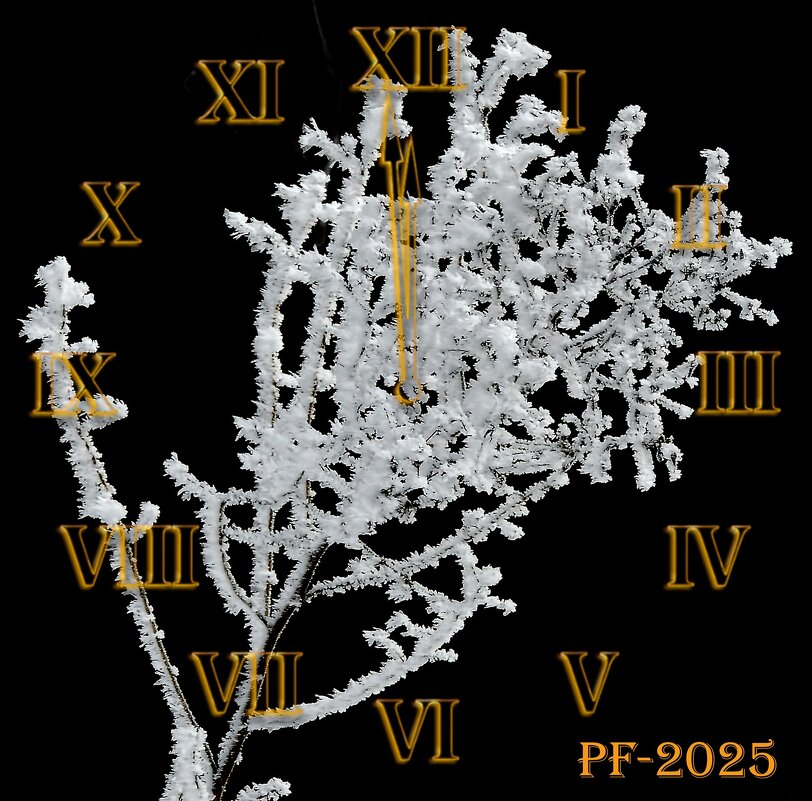 PF - Роман Савоцкий