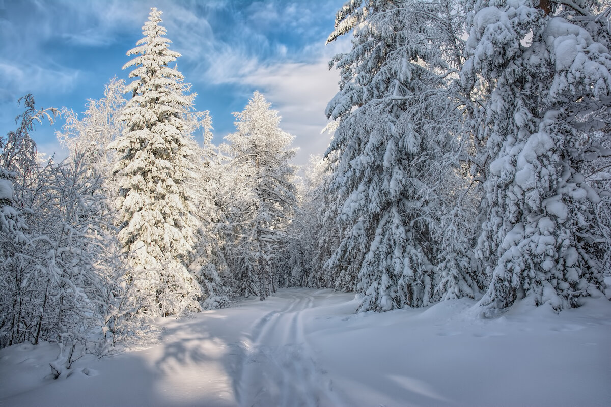 Зимний полдень - Vladimbormotov Зимний полдень - Vladimbormotov