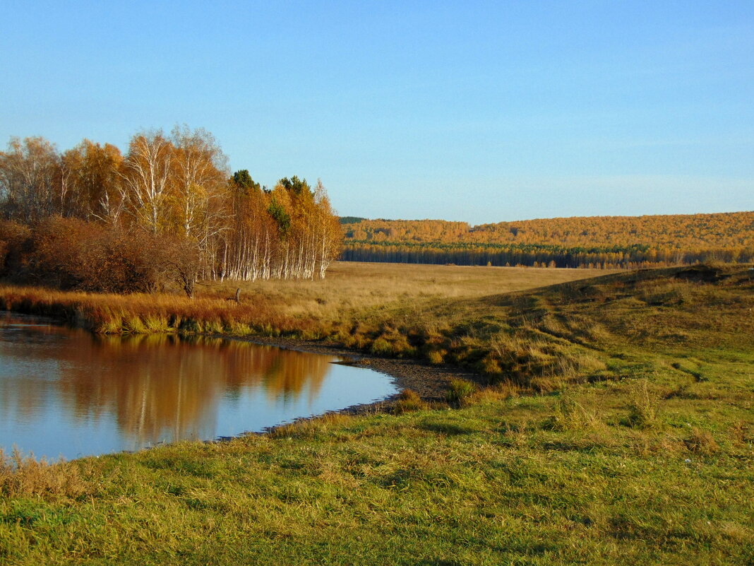 Осенний пейзаж. - nadyasilyuk Вознюк