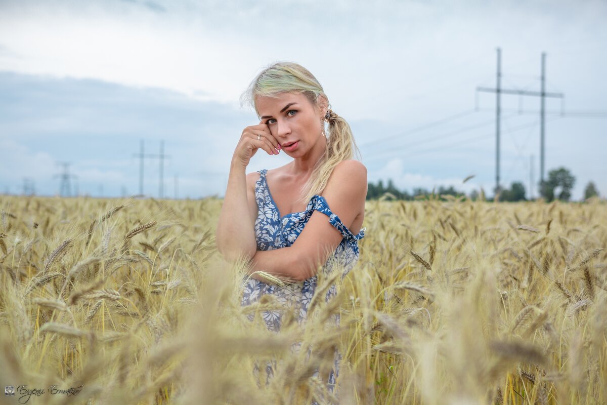 Блондинка в пшенице - Евгений Ермаков