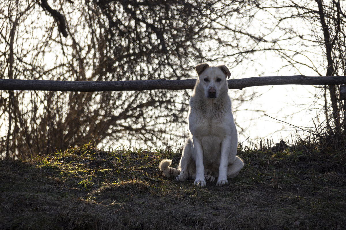 .. - оксана .. - оксана