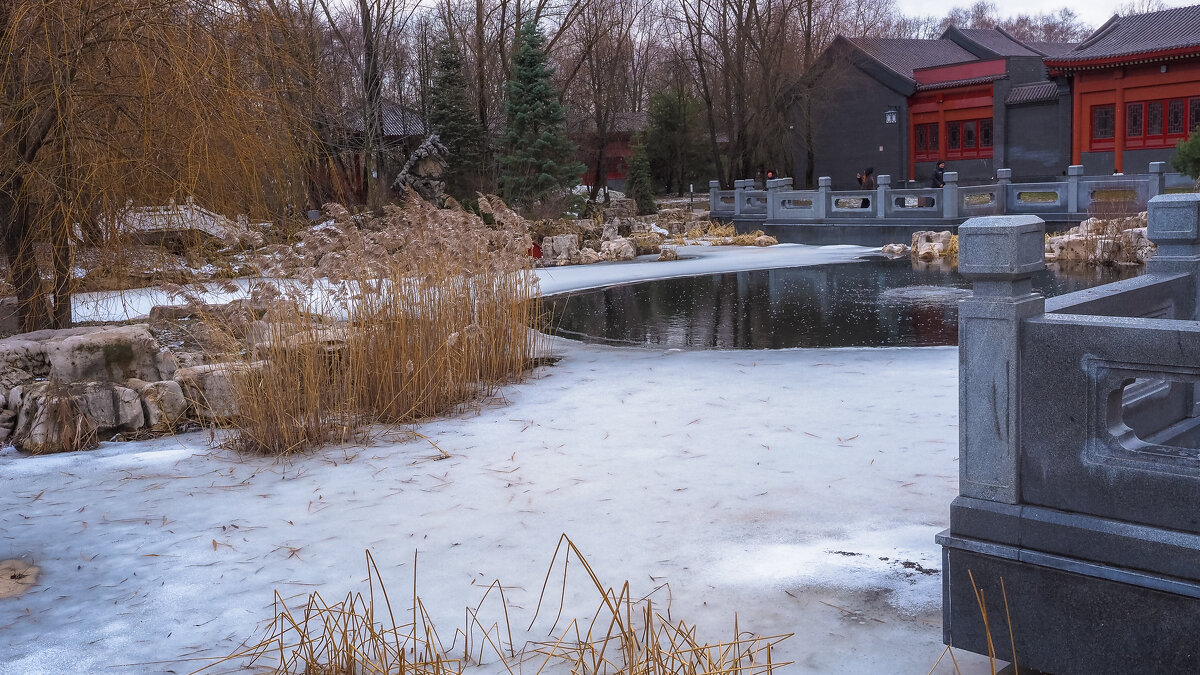 Зарисовка из Парка Хуавей - юрий поляков Зарисовка из Парка Хуавей - юрий поляков
