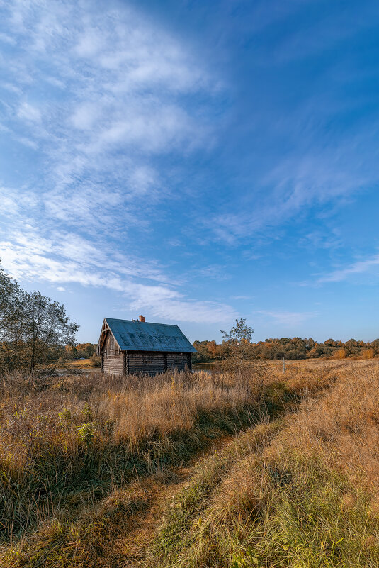 *** - Борис Гольдберг