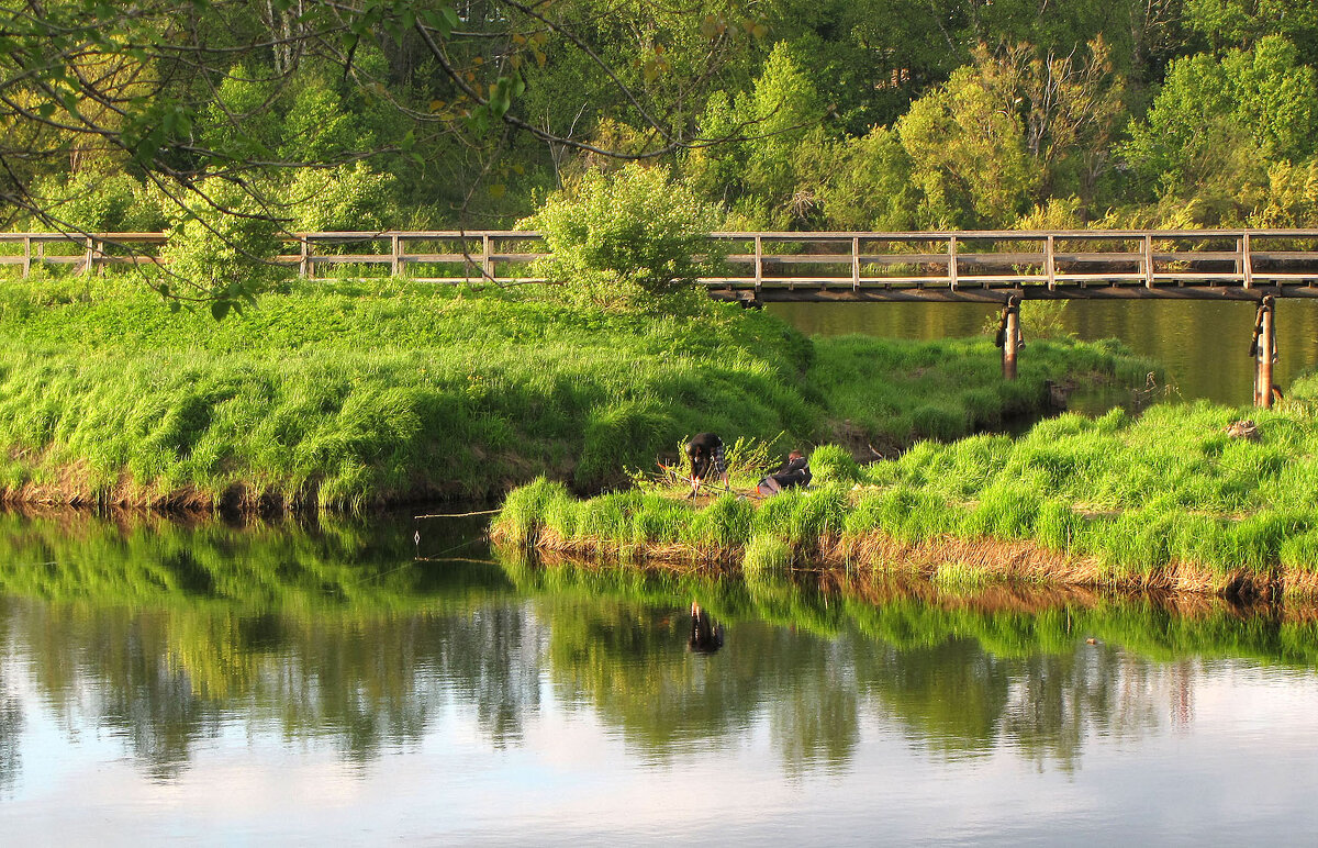 Мост на остров Мариам - Александр Ильчевский Мост на остров Мариам - Александр Ильчевский