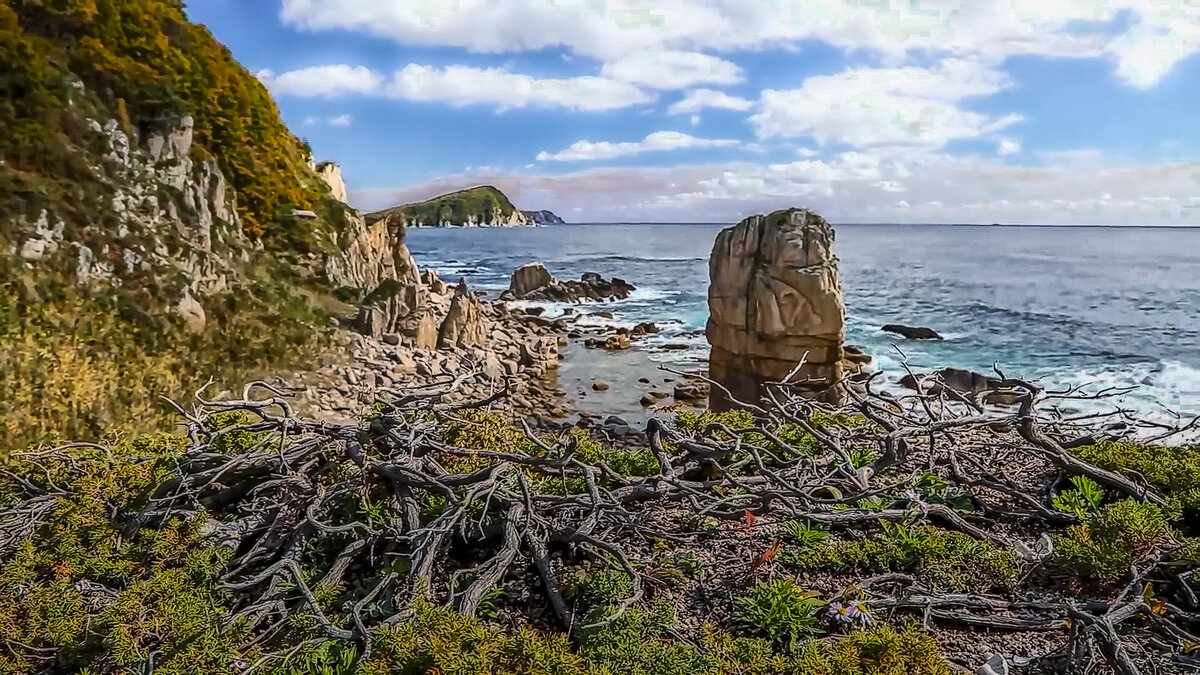 Лазовский заповедник. - Aleksey Afonin Лазовский заповедник. - Aleksey Afonin