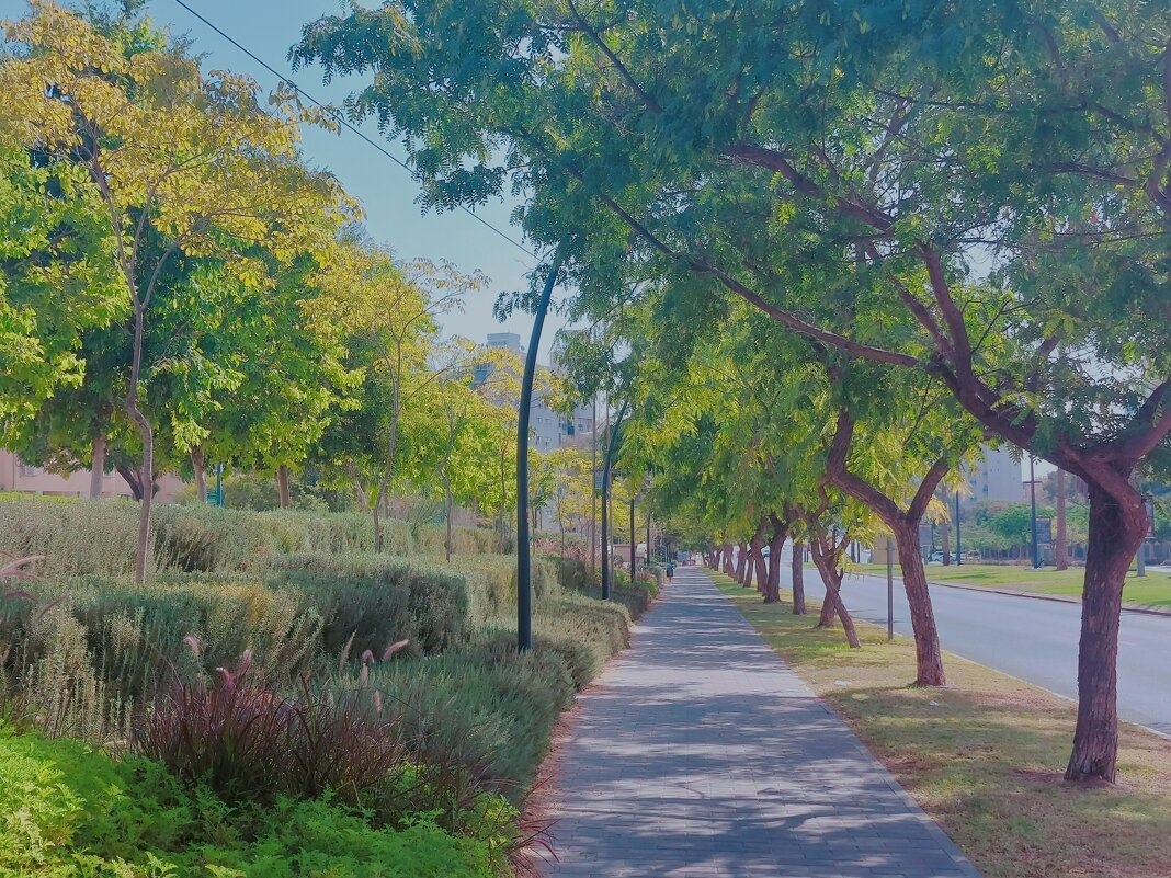 109 (43) - СТРЕН 