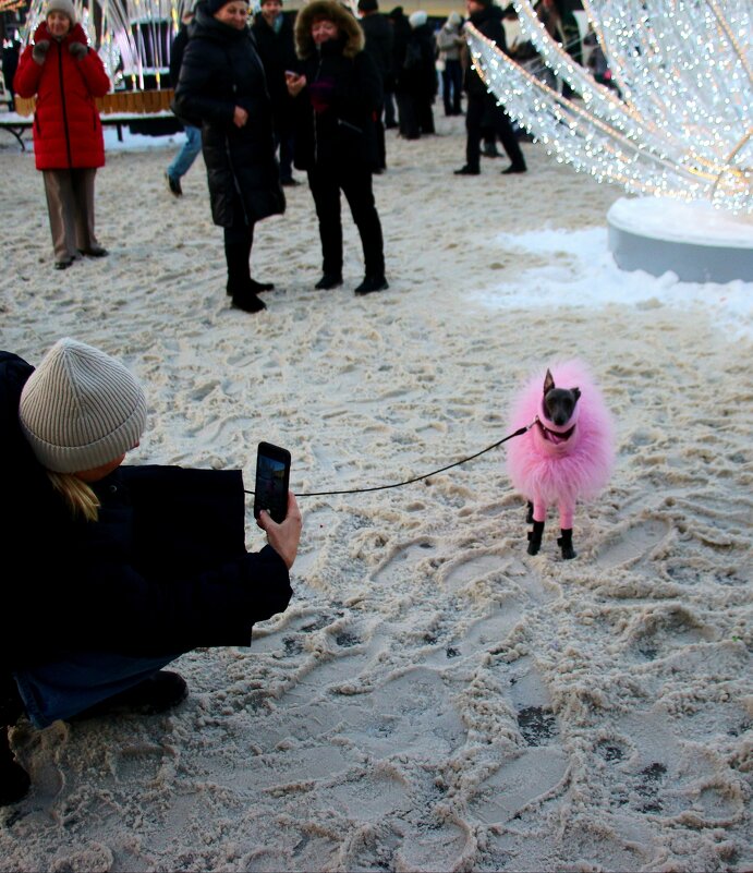 Фотосессия - Наталья Герасимова Фотосессия - Наталья Герасимова