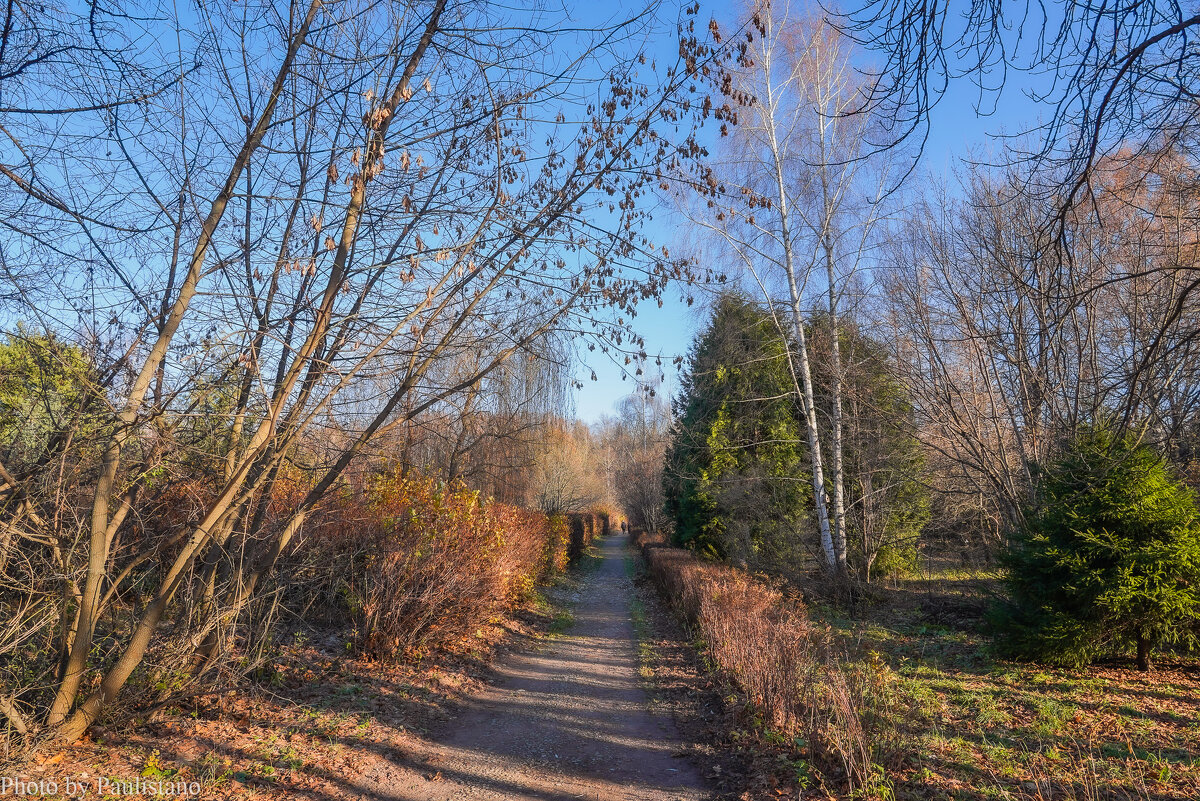 Солнечный ноябрь... - Владимир Жданов Солнечный ноябрь... - Владимир Жданов