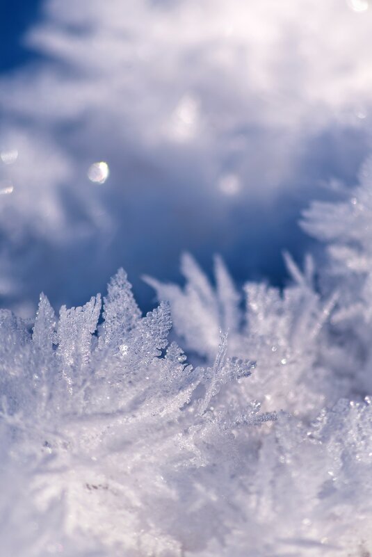 Хрустальный снег - Ника Романенко