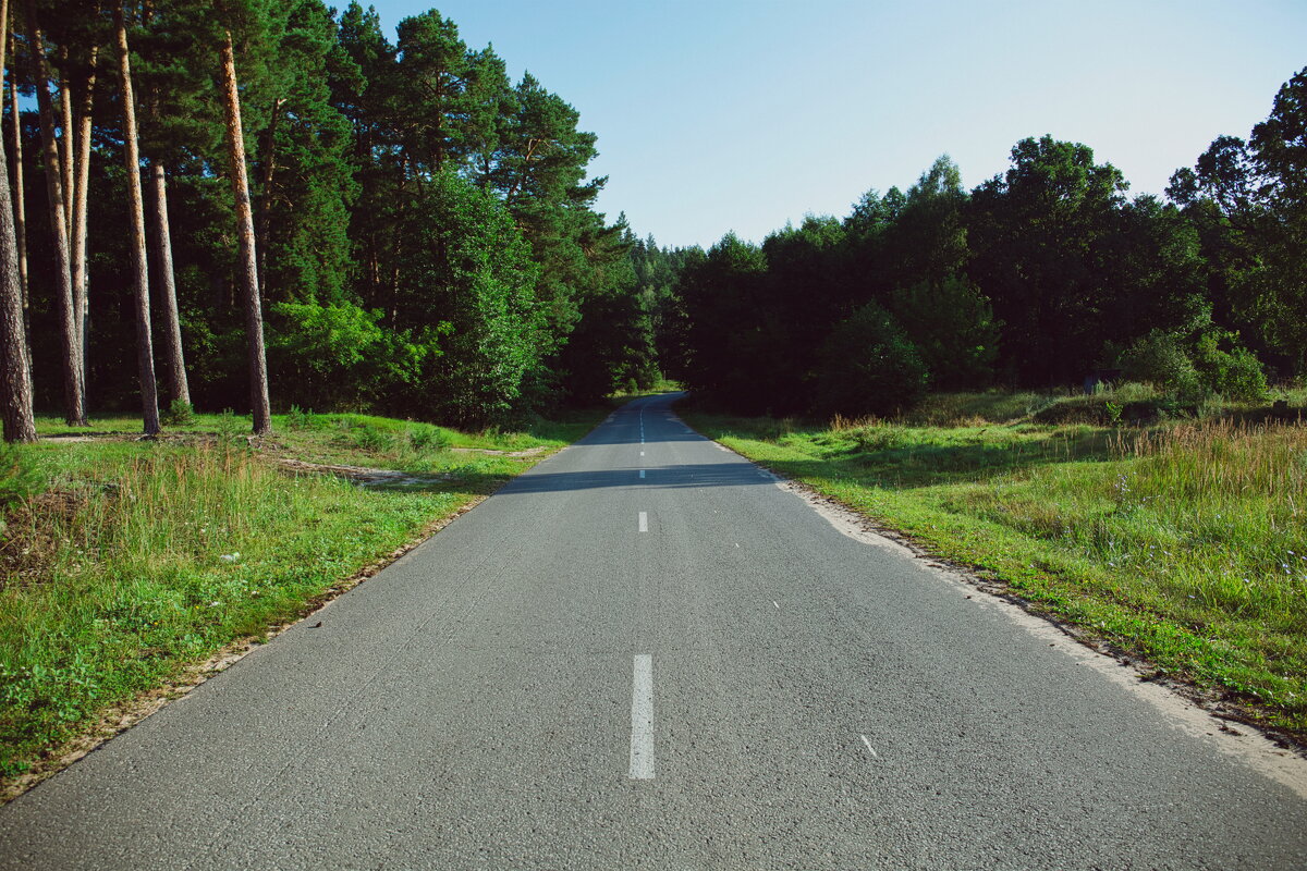 П - Денис Безногов П - Денис Безногов