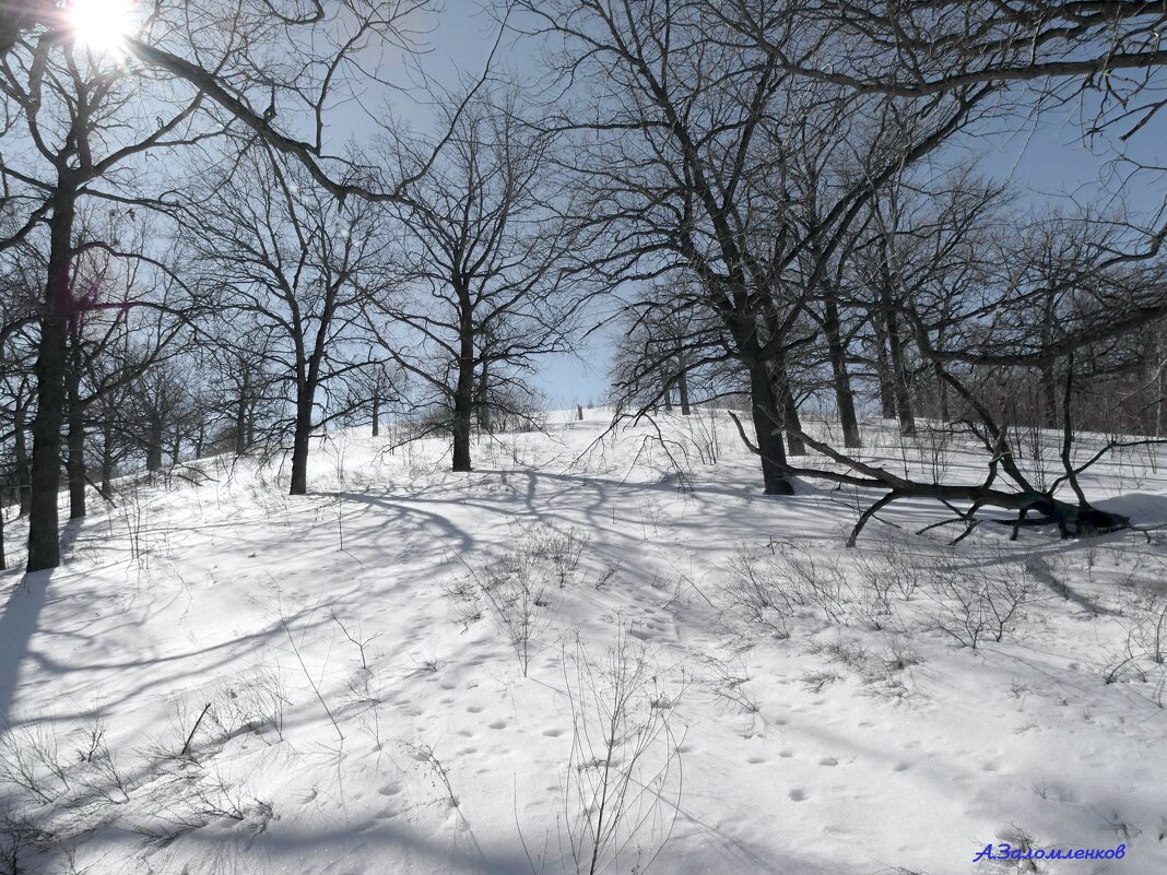 На склонах февраля... - Андрей Заломленков На склонах февраля... - Андрей Заломленков
