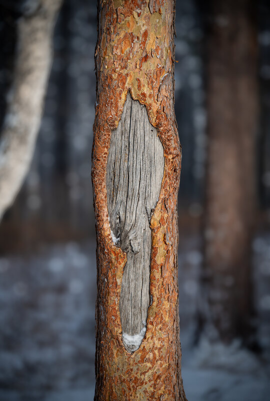 * - Александр Иванов * - Александр Иванов