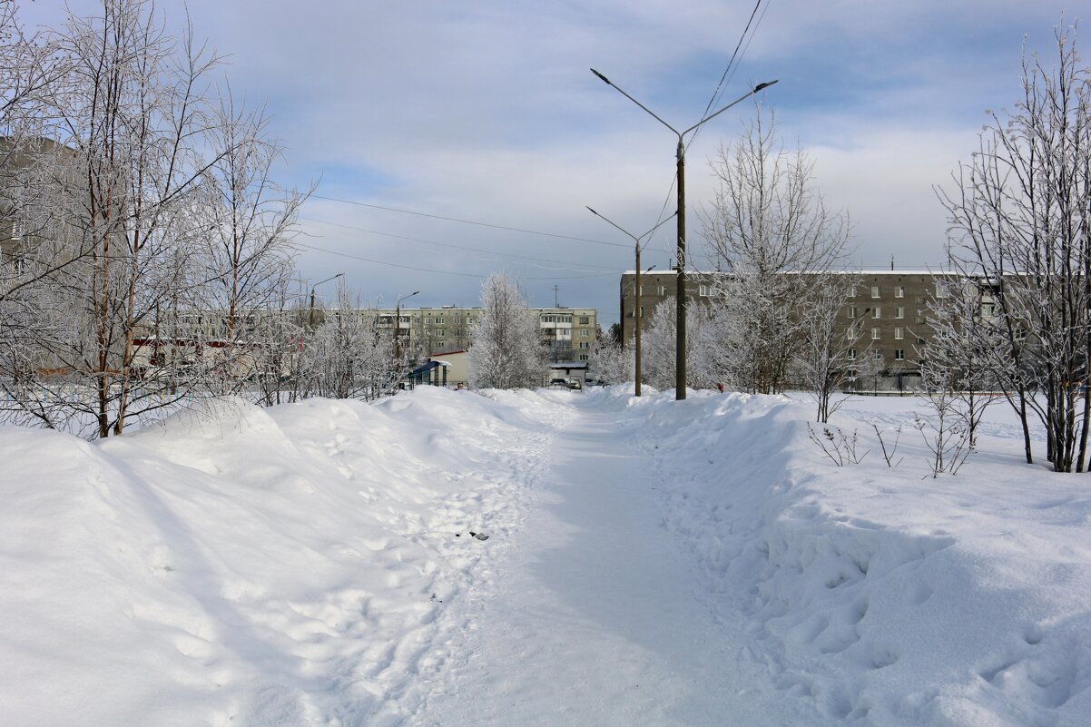 Зимний день - Ольга 