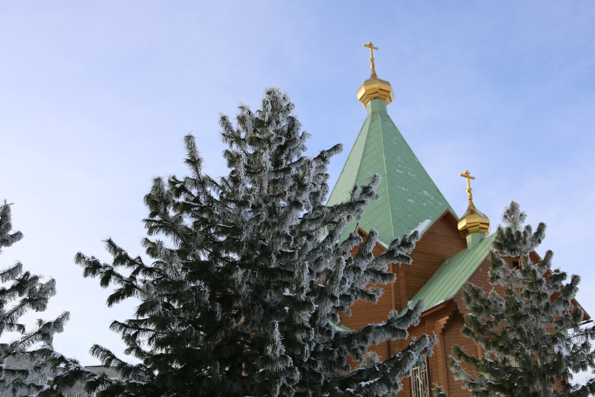 Морозный день - Ольга Морозный день - Ольга