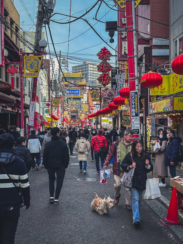 Китайский квартал в Йокогаме - Дмитрий Китайский квартал в Йокогаме - Дмитрий