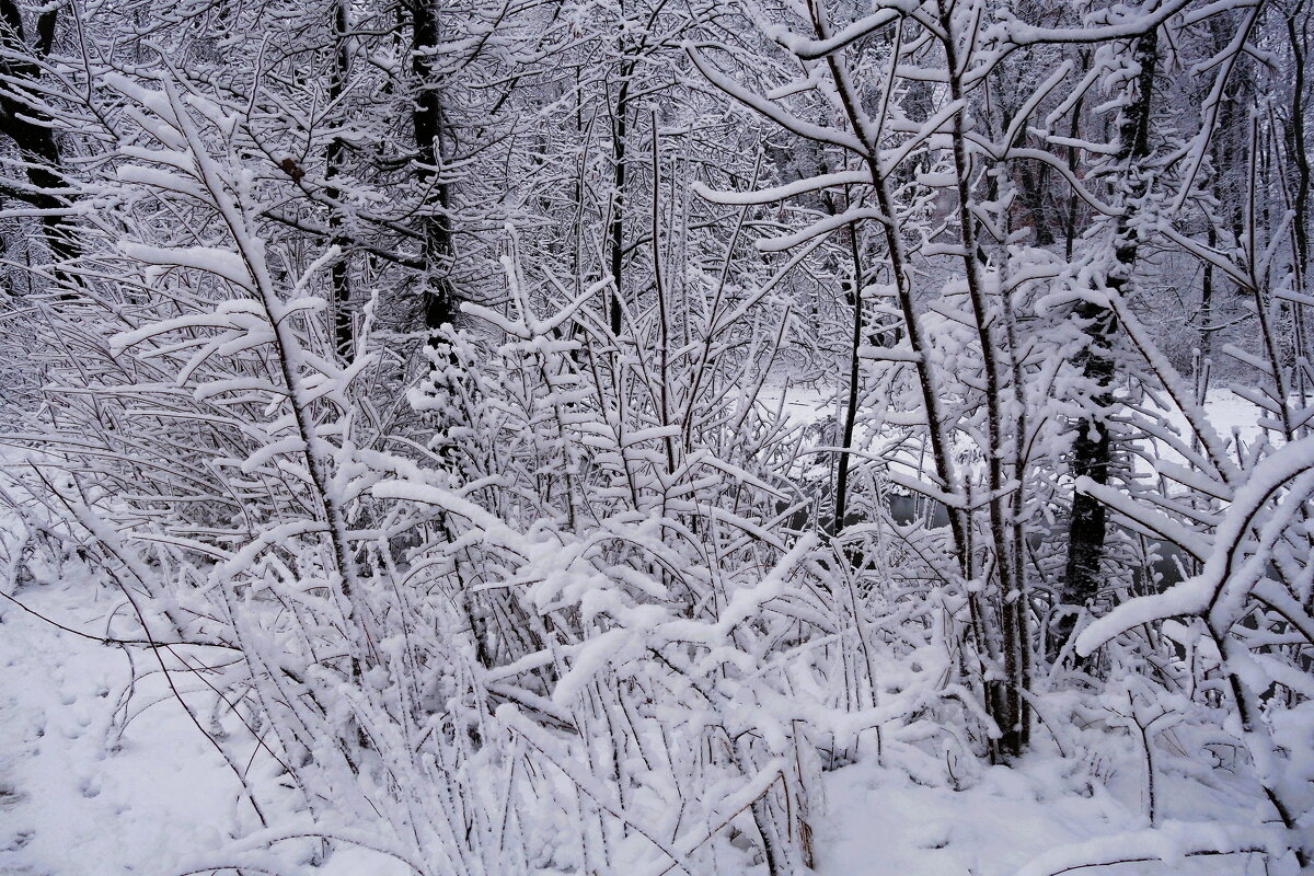 Зимние картинки - Рита Симонова