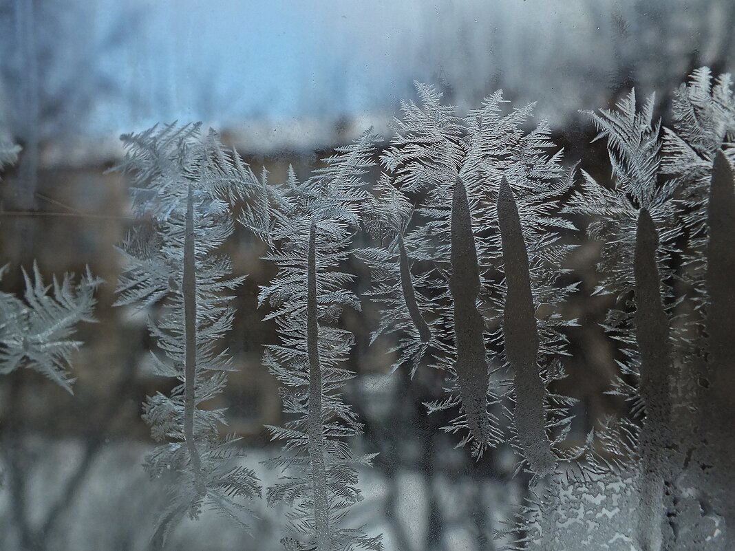 ** - Зоя Мишина ** - Зоя Мишина