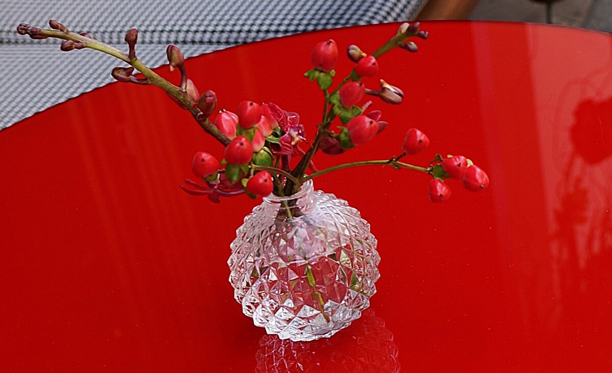 Ода красному ... - Алёна Савина Ода красному ... - Алёна Савина