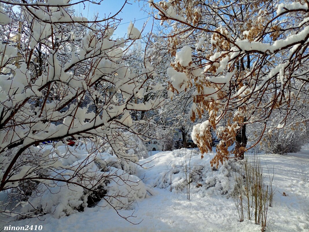 Ростовская зима - Нина Бутко Ростовская зима - Нина Бутко
