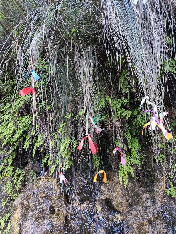 А это на водопаде Девичьи слезы - Татьяна Пальчикова А это на водопаде Девичьи слезы - Татьяна Пальчикова