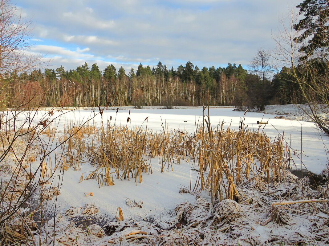 Зима на пруду - Андрей Снегерёв Зима на пруду - Андрей Снегерёв