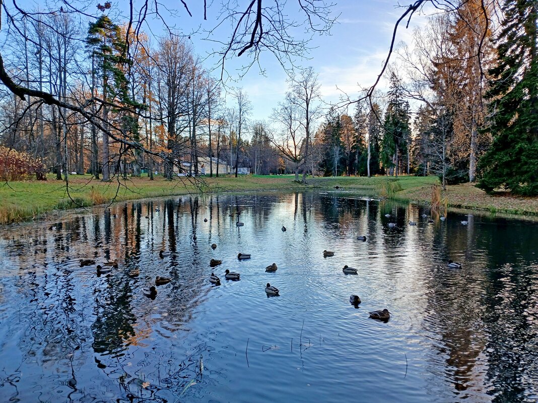 Осень. - Лия ☼ Осень. - Лия ☼