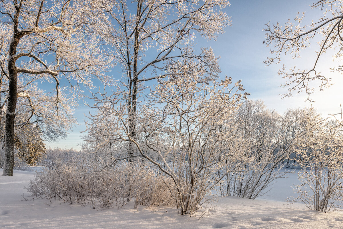 Зима - Владимир Колесников