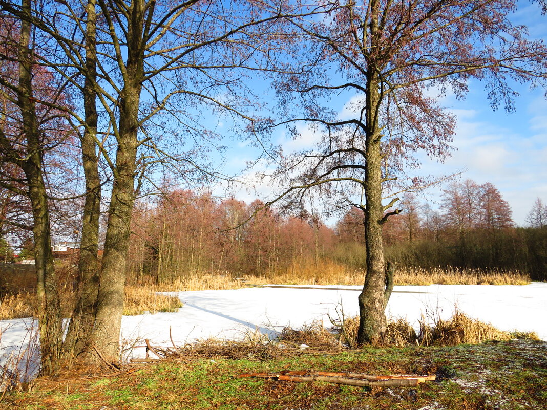 На берегу - Андрей Снегерёв На берегу - Андрей Снегерёв