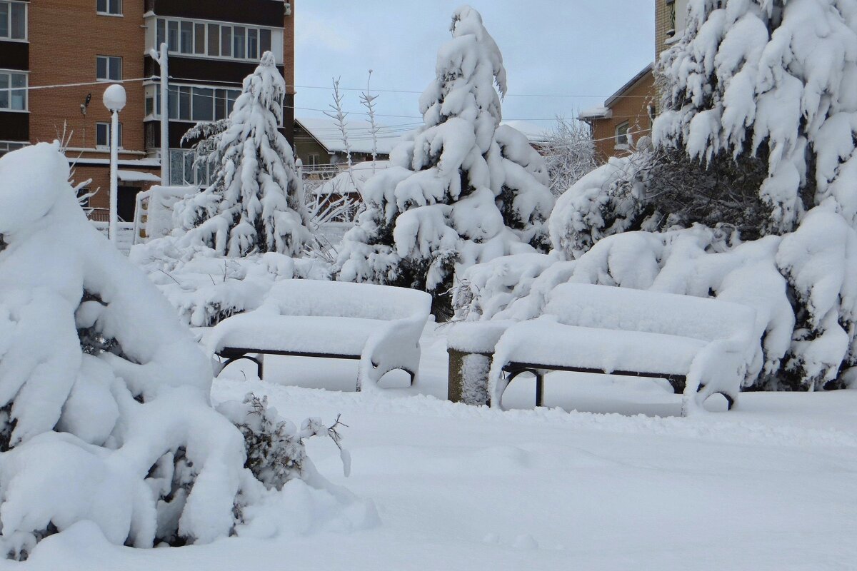 Утро в заснеженном сквере - Татьяна Смоляниченко Утро в заснеженном сквере - Татьяна Смоляниченко