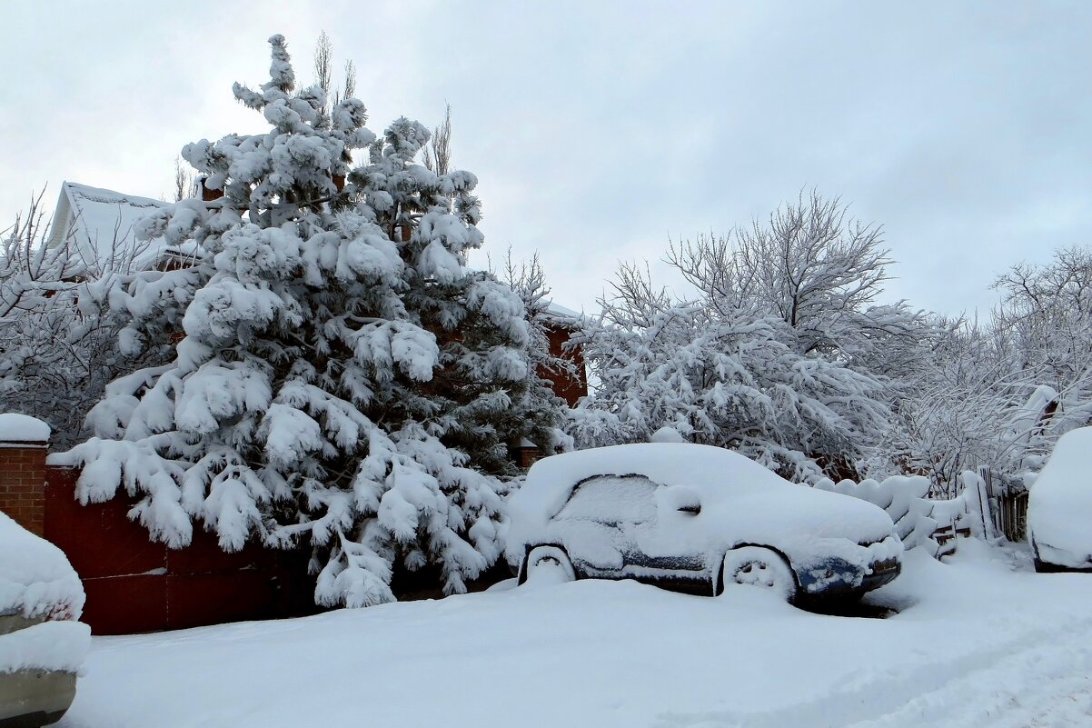 В мой город вернулась зима - Татьяна Смоляниченко
