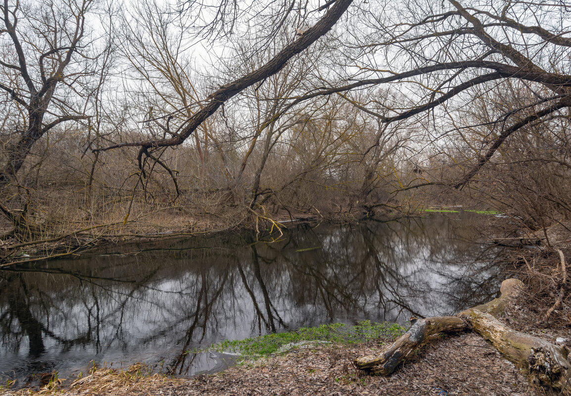 на речушке 2 - Виталий Емельянов на речушке 2 - Виталий Емельянов