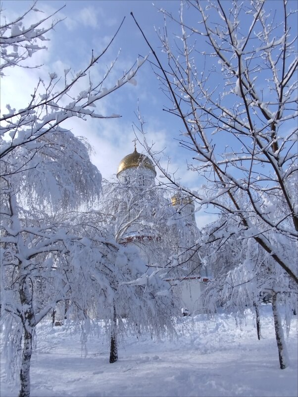 Спасибо небесам за первый снег! - Надежда 